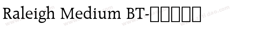 Raleigh Medium BT字体转换
